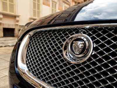Automotive Grills